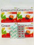 Ginkgo Natto 360 Coenzym Q10